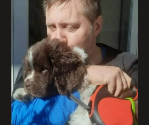 Newfoundland Puppy Totally Calls Me Out